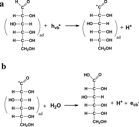 Suggested pathway for the photo-oxidation of glucose into gluconic ...