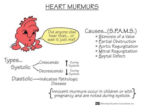 Heart Murmurs cause S.P.A.M.S. | Nursing student tips, Heart murmur ...