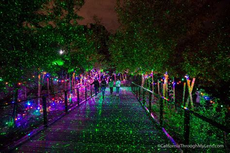 LA Zoo Lights: Christmas Lights at the Los Angeles Zoo - California ...