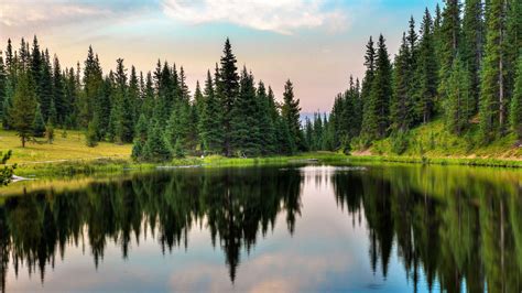 Forest Lake Reflection desktop wallpaper + Wallpapers Download 2024