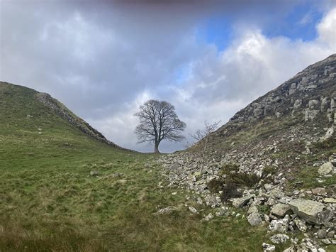 The Sycamore Gap, Hadrian’s Wall : r/UKhiking