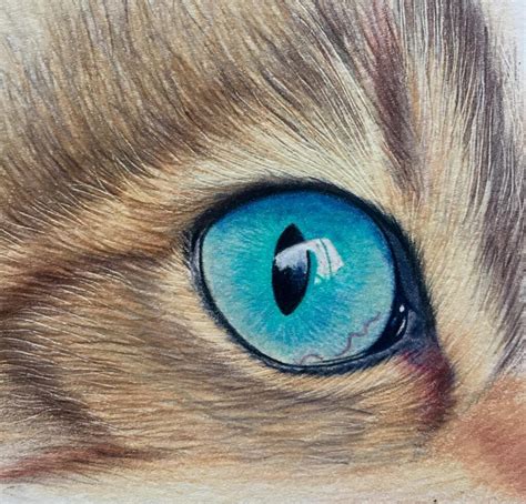 Derwent Chromaflow Cats Eye Tutorial | Bromleys Art Supplies