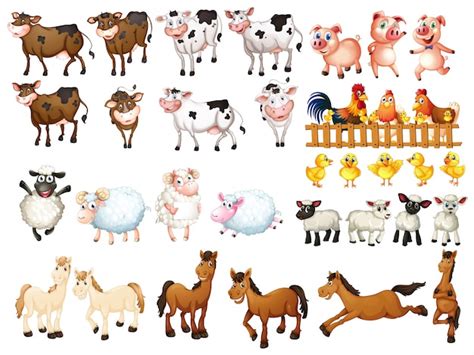 Premium Vector | Many kinds of farm animals