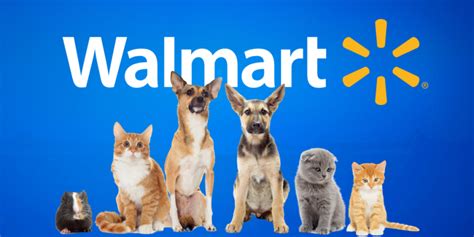 Can Walmart Dominate the Veterinary Industry? - RetailWire