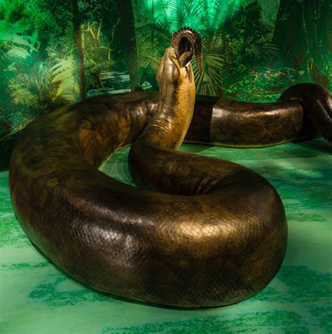 Fantastic Dreams of Pamela K. Kinney: Supernatural Friday: Giant Snakes ...