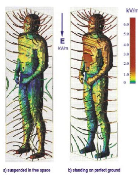 Figure 7 from 3 Electric and Magnetic Fields inside the Body 3.1 ...