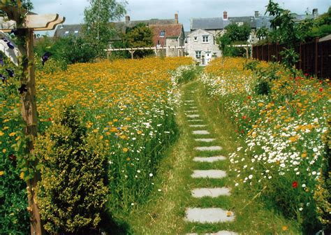 Backyard Wildflower Garden Design