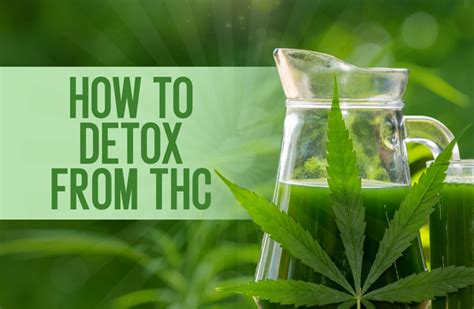 How To Detox From THC: Methods To Clean Your System