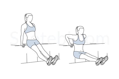 Tricep Dips | Illustrated Exercise Guide