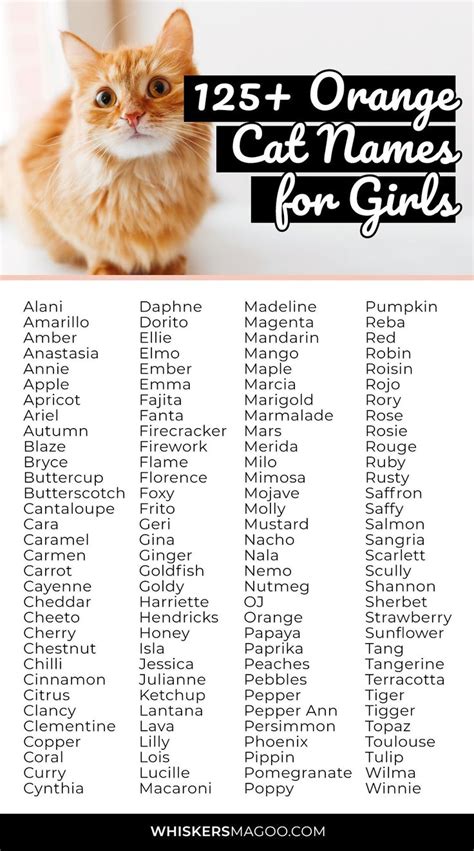 125+ Cute Orange Cat Names for Girl Cats - Whiskers Magoo | Girl cat ...