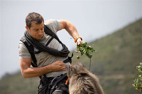 Bear Grylls to Return to Netflix with 2 Interactive Specials