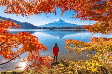 Autumn in Japan: Where to admire vivid fall foliage in Japan