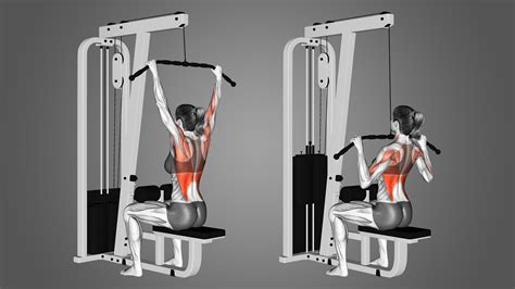 The Lat Pulldown: Benefits, Muscles Worked, Etc. - Inspire US