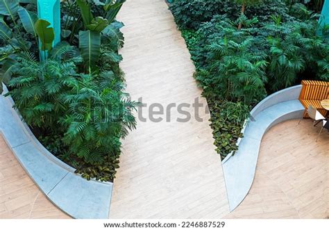 Modern Interior Shopping Mall Green Plants Stock Photo 2246887529 ...