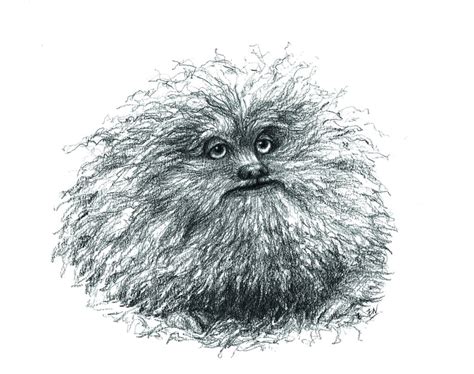 A5 Fizzgig Print. the Dark Crystal Tribute. Gelfling - Etsy