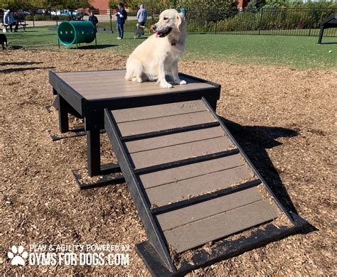 Dog Park Equipment |Bridge Climb (L/X) 29" H Sport Incline