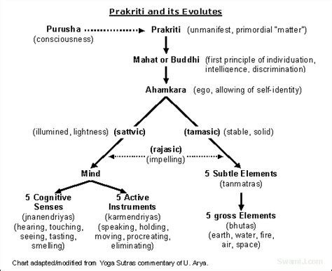 Overview of Samkhya Philosophy | Yoga With Subhash