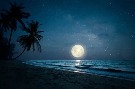 Night Beach Pictures | Download Free Images on Unsplash