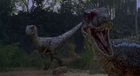 Velociraptor (movie canon) - Park Pedia - Jurassic Park, Dinosaurs ...