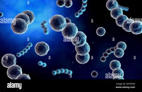 Microscopic visualization of streptococcus Stock Video Footage - Alamy