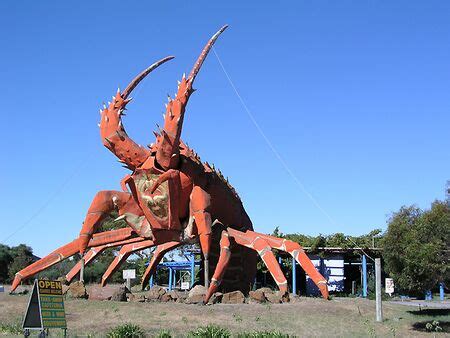 Giant enemy crab - Uncyclopedia