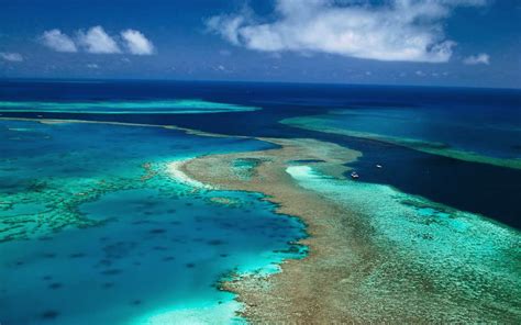 The Amazing World : The Great Barrier Reef Islands