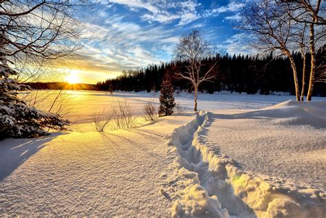 10,000+ Free Trees Winter Landscape & Winter Images - Pixabay