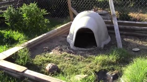 Sulcata's outdoor enclosure - YouTube