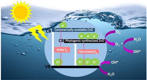 Possible mechanism for photocatalytic degradation of dyes | Download ...