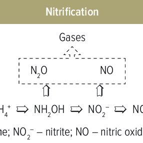 Nitrification in aerobic soils. | Download Scientific Diagram