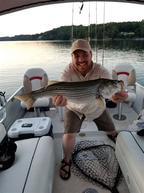 2015 | Pullin Drag Striper Fishing Guide | Smith Mountain Lake