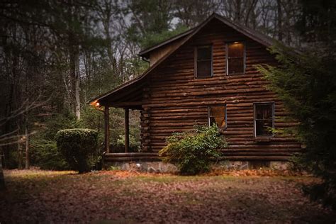 HD wallpaper: log, cabin, forest, wood, rustic, nature, house, home ...