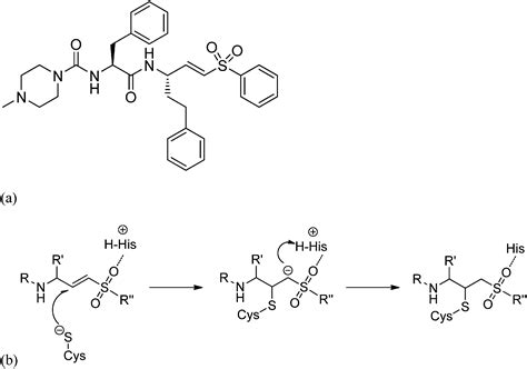 Vinyl sulfone building blocks in covalently reversible reactions with ...