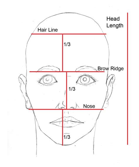 484 best Portrait Drawing Lessons images on Pinterest | Drawing ...