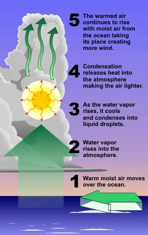 Tropical Cyclones: Favorable Conditions for Formation, Stages of ...