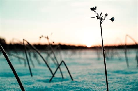 Premium Photo | Magical sunrise on the snow covered lake