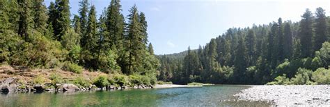 Jedediah Smith Redwoods State Park Campground