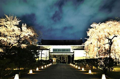 [Feature 8]Part3 Nighttime Cherry Blossom Illuminations | Sharing Kyoto ...