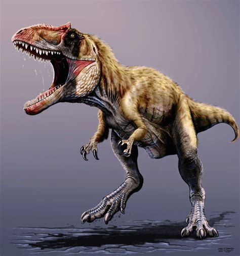 New Giant Dinosaur Was the Apex Predator Before T-Rex | WIRED