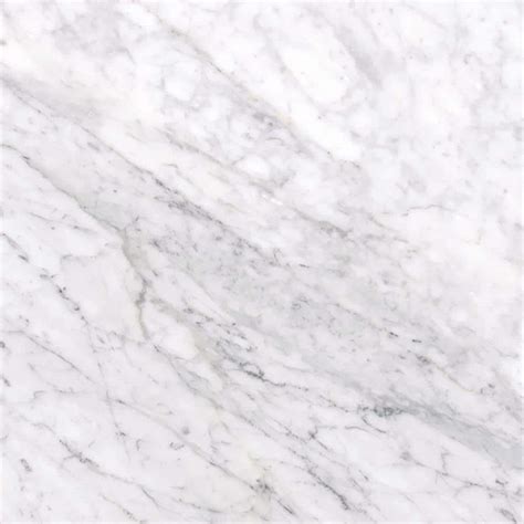 Have a question about MSI Carrara White 12 in. x 12 in. Honed Marble ...