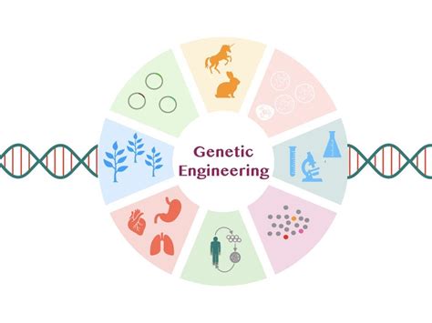 The Ethics of Genetic Engineering: Should We Play God with Our DNA ...