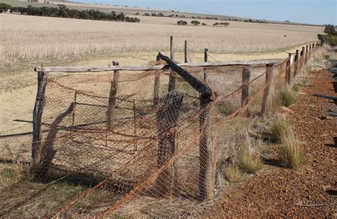 The Rabbit Proof Fence of Australia | Amusing Planet