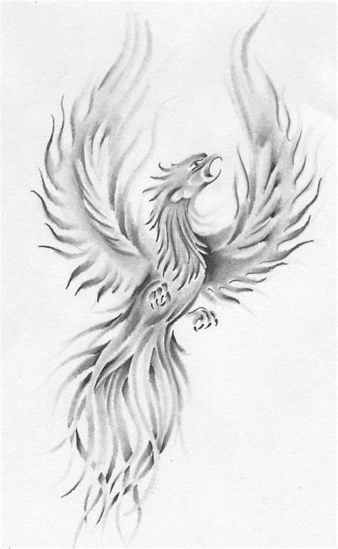 Phoenix drawing with shadows | Phoenix drawing, Phoenix tattoo, Phoenix ...