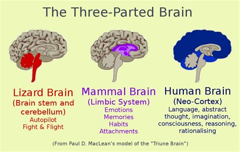 Taming the Lizard Brain - Quillette