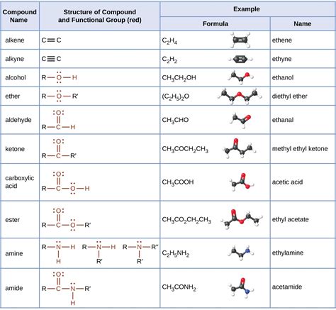 Amines and Amides | Chemistry for Majors