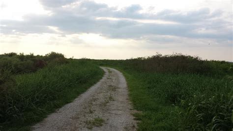 Lake Apopka Restoration Area Mountain Bike Trail in Astatula, Florida ...