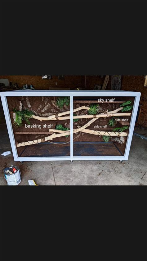 Pin en reptile enclosures