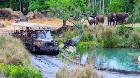 Kilimanjaro Safaris at Disney's Animal Kingdom are they any better than ...