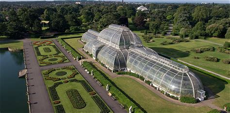 World's largest glasshouse at Kew Gardens reopens in London