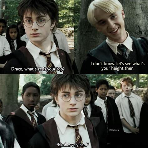 Book of Drarry memes and pictures - ℂ𝕙𝕒𝕡𝕥𝕖𝕣 16 | Harry potter feels ...